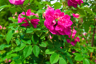 Similar image 6052429