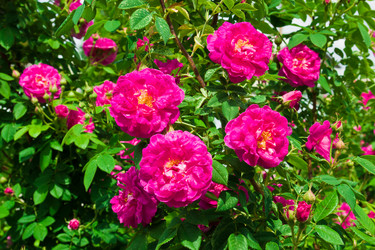 Similar image 6052431