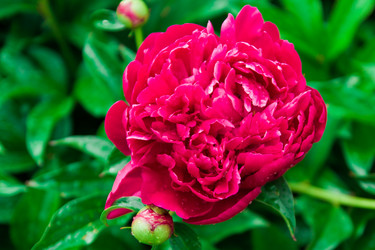 Similar image 6052433