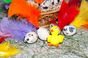 Similar image 6052475