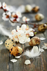 Similar image 6052517