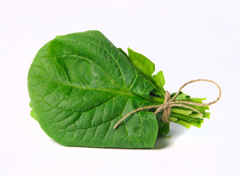 Similar image 6052529