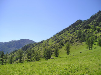 Similar image 6052625