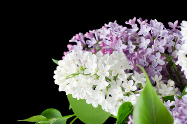 Similar image 6052799