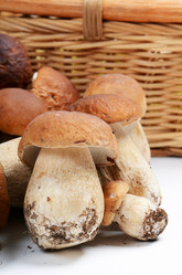 Similar image 6052809