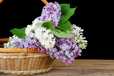 Similar image 6052812