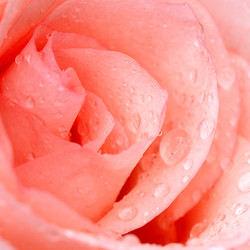 Similar image 6052861