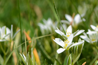 Similar image 6052864