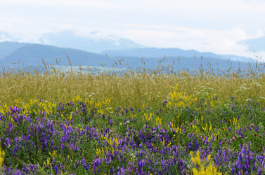 Similar image 6052869