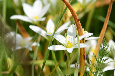 Similar image 6052872