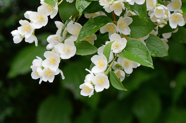 Similar image 6052900