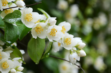 Similar image 6052903