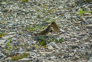 Similar image 6053133