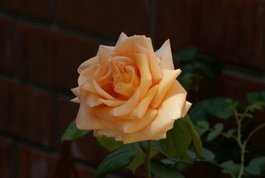 Similar image 6053137