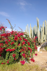 Similar image 6053366