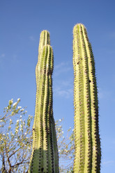 Similar image 6053375