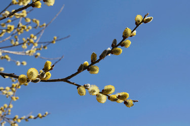 Similar image 6053382