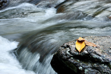 Similar image 6053449