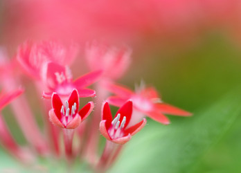 Similar image 6053551