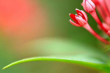 Similar image 6053552