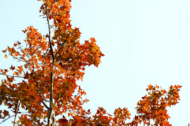 Similar image 6053588