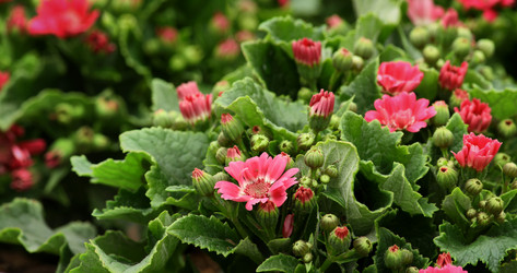 Similar image 6053759