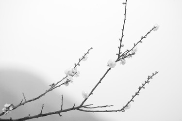 Similar image 6053784