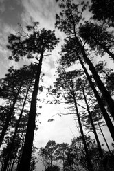 Similar image 6053786