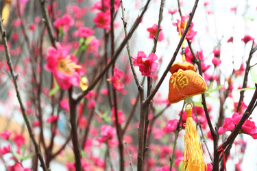 Similar image 6053823