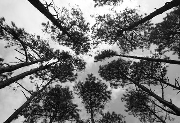 Similar image 6053839