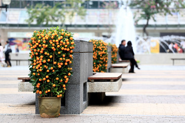 Similar image 6053952