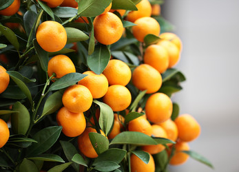 Similar image 6053955