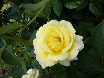 Similar image 6054306