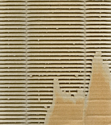 Similar image 6054307