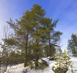 Similar image 6054326