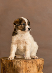 Similar image 6054399