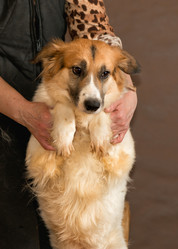 Similar image 6054401