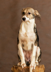 Similar image 6054403