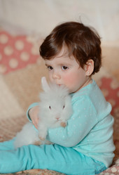 Similar image 6054435