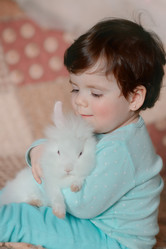 Similar image 6054446