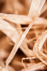 Similar image 6054450