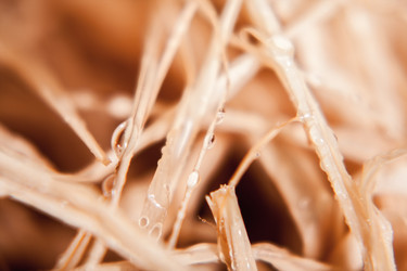 Similar image 6054451