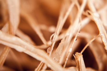 Similar image 6054452