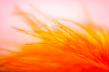 Similar image 6054454