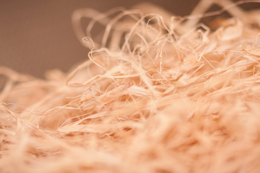 Similar image 6054456