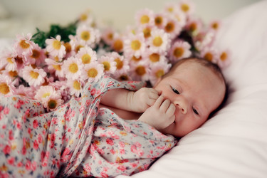 Similar image 6054492