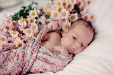 Similar image 6054527