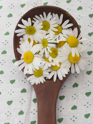 Similar image 6054532