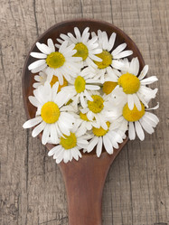 Similar image 6054533