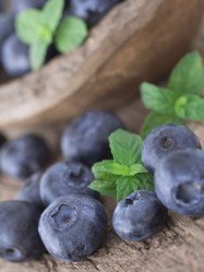 Similar image 6054542